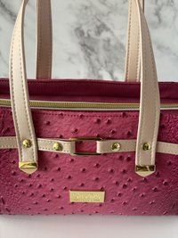 The “I’m Fabulous” Pink/Blush Croc/Ostrich Handbag with Sunglass/Eyeglass case