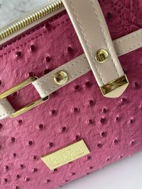 The “I’m Fabulous” Pink/Blush Croc/Ostrich Handbag with Sunglass/Eyeglass case