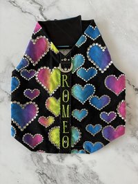 "Romeo" Million Dollar Baby small breed dog harness - Handmade - adorned with massive amounts of Austrian Crystals - One of a kind