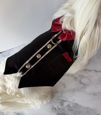 Tuxedo Time Dog Harness Vest with solid cast D-ring ... perfect for lunch out, or for the perfect wedding attire