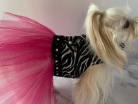 Safari Girl Dog Harness Dress with solid cast D-ring