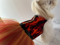 Little Miss Wildfire Harness Dress for small breed dog - with D-ring for walking on a leash