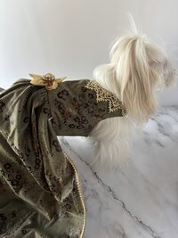 Princess of the Garden Renaissance small breed dog gown/dress
