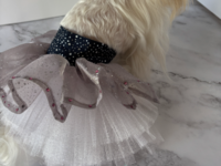 Tutu Skirt for Small Breed Dog - Denim waistband and full shimmery tutu skirt