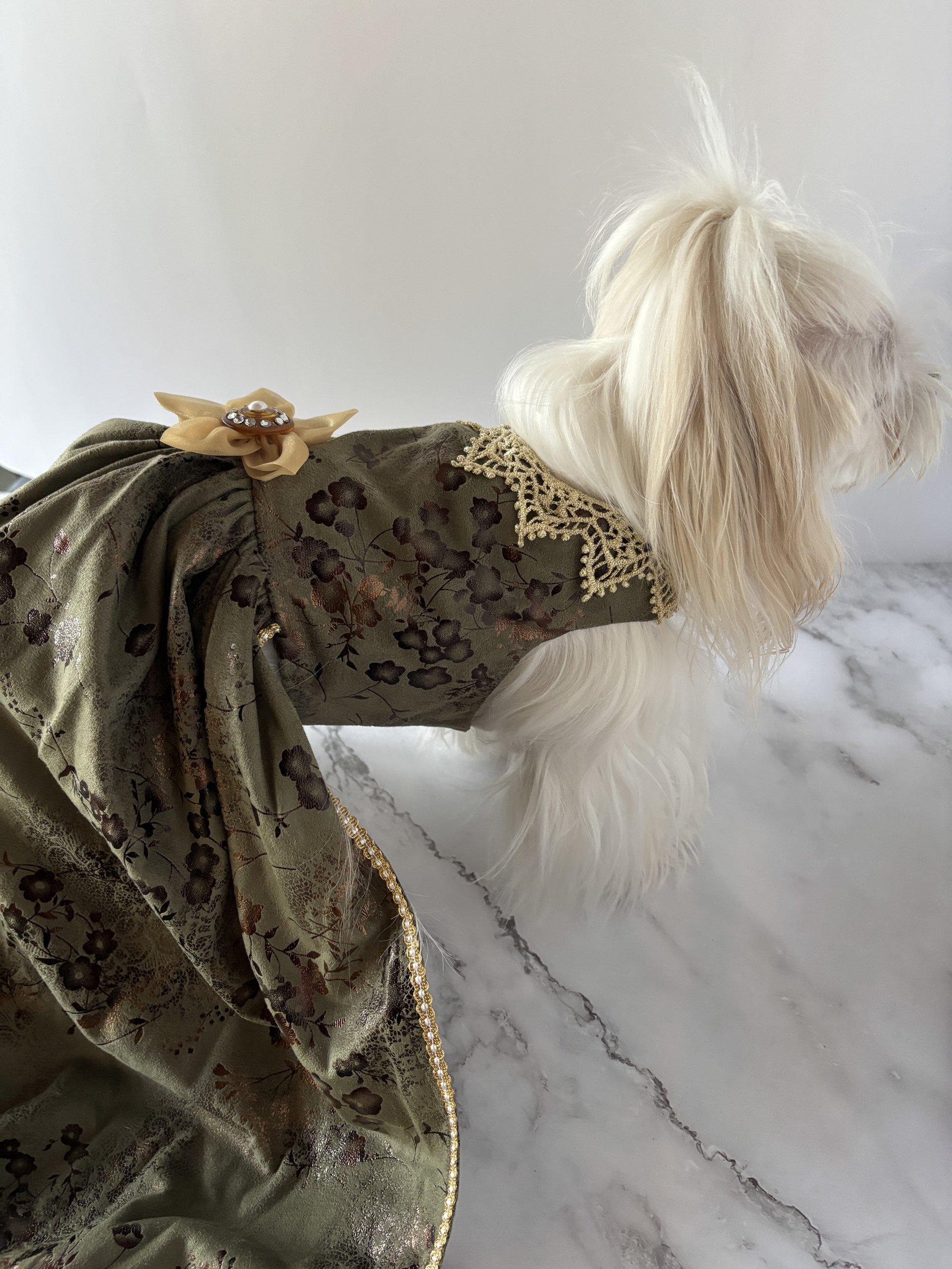 Princess of the Garden Renaissance small breed dog gown/dress