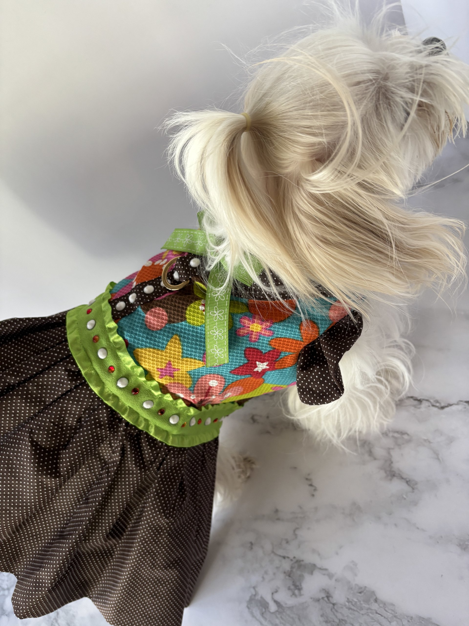 School Days small breed dog Harness Dress with solid cast D-ring & ruffle sleeves