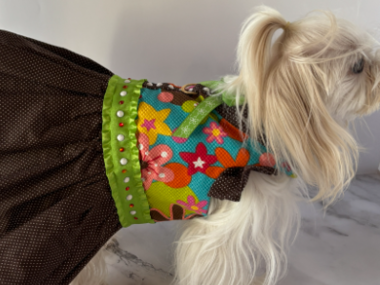 School Days small breed dog Harness Dress with solid cast D-ring & ruffle sleeves